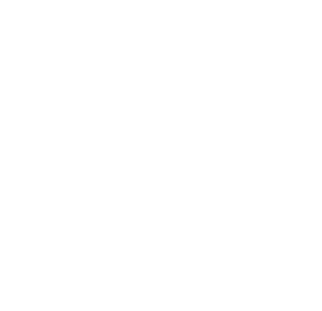 badge hss